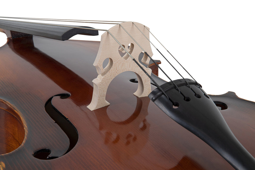 GEWA Double bass Basic Line Solid Version - 4/4 (Set up in the GEWA master workshops)