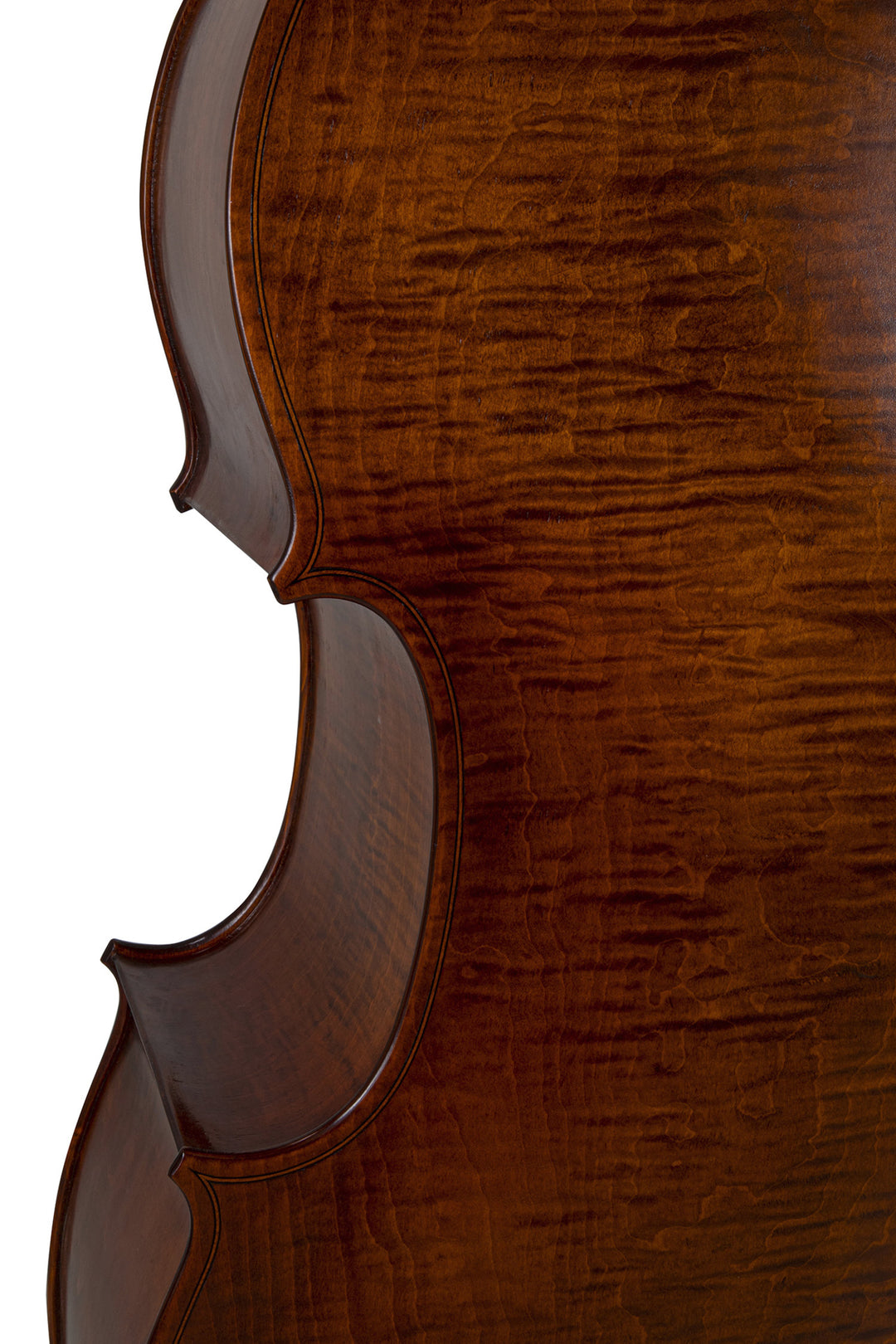 GEWA Double bass Premium Line Semi-solid Model - 3/4 (Set up in the GEWA master workshops)
