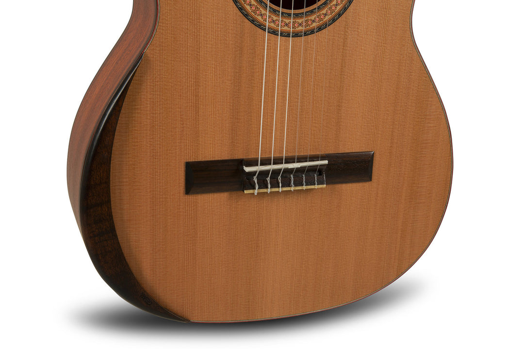 Manuel Rodriguez TRADICÍON Series T-65 4/4 size - 4/4 size (T-65)