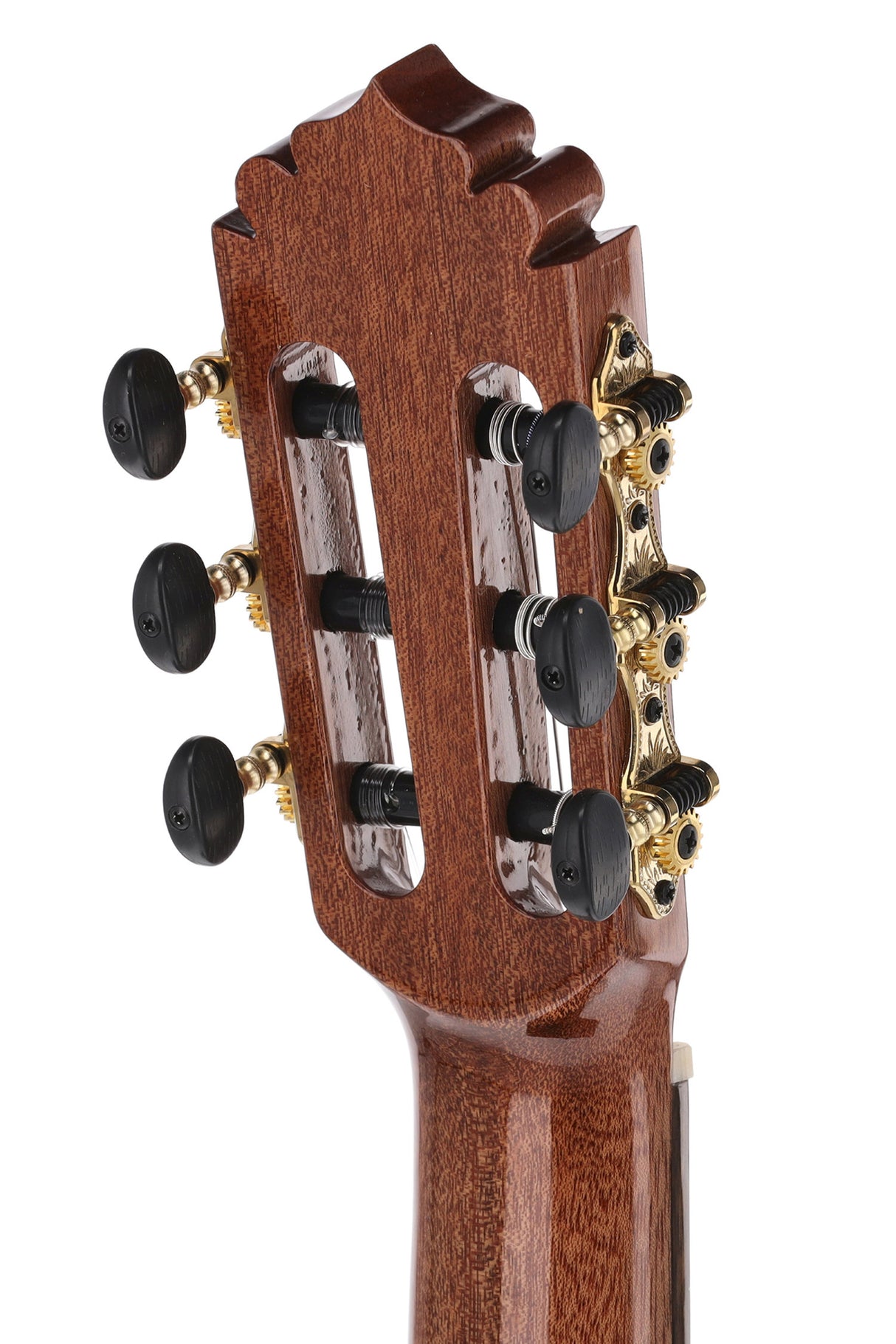 Manuel Rodriguez ACADEMIA Series Santos Pavo Real - E-Acoustic Spruce/Santos (EX-SS-EA gloss)