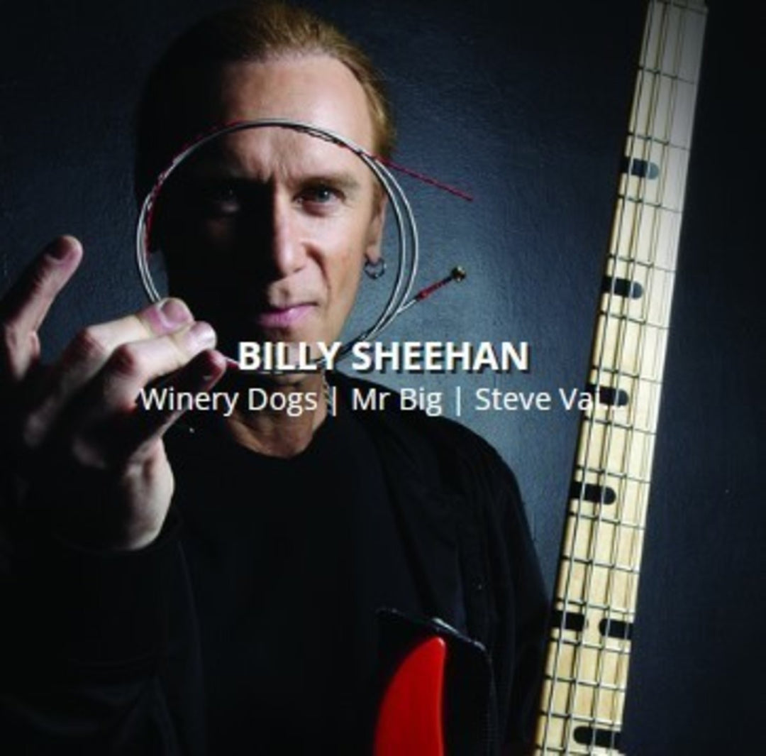 Rotosound E-Bass Strings Swing Bass 66 - Set 4-string Billy Sheehan Custom 43-110 (BS66)