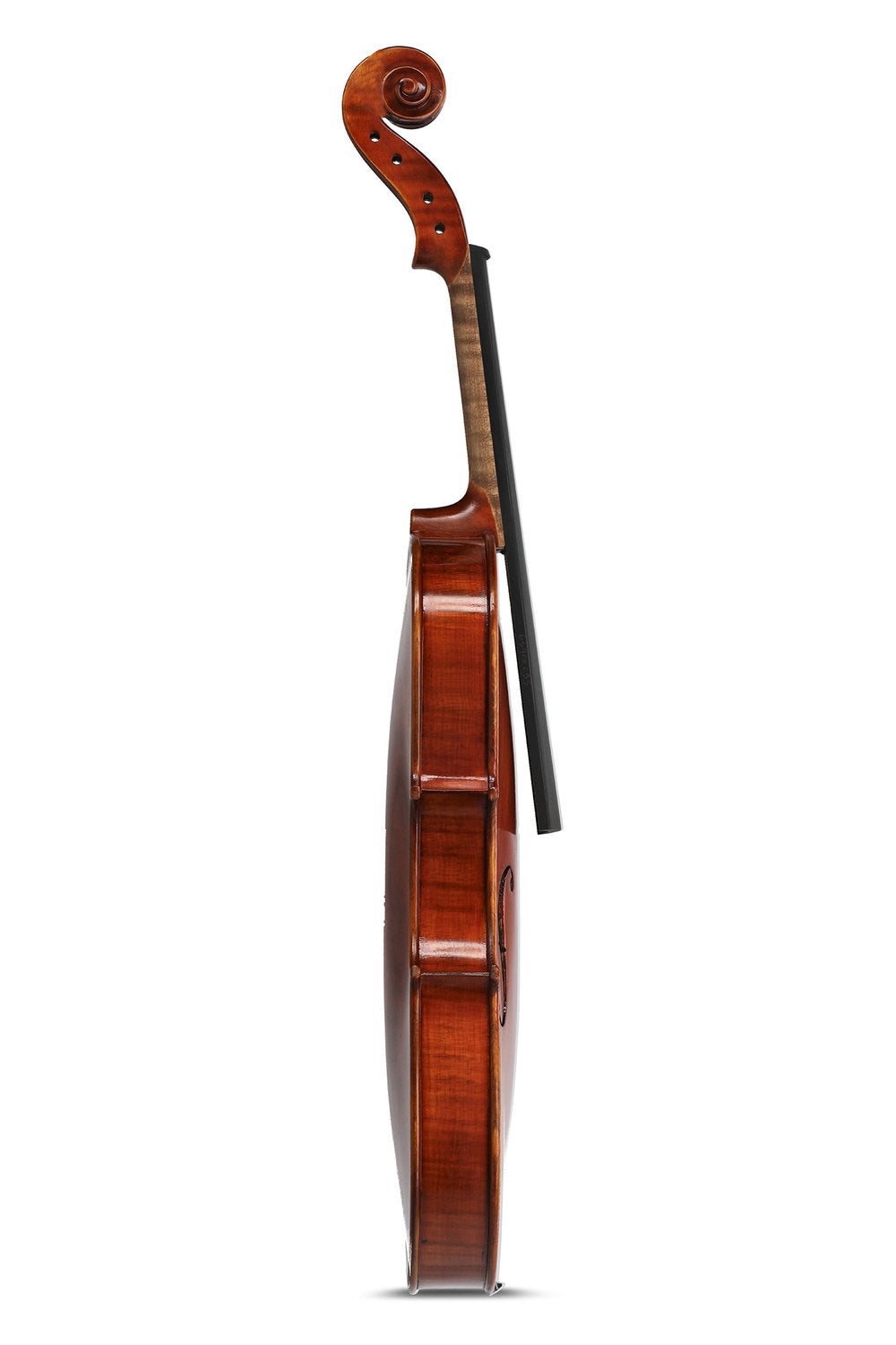 GEWA Europa Maestro violin 4/4, maroon, uden opsætning