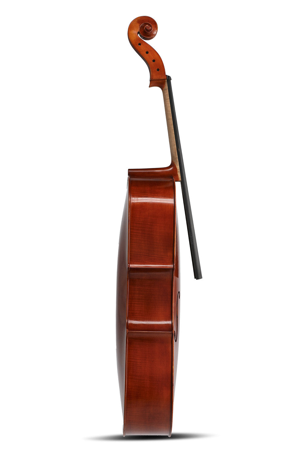 GEWA Europa Maestro cello 4/4, kastanjebrun spritlak