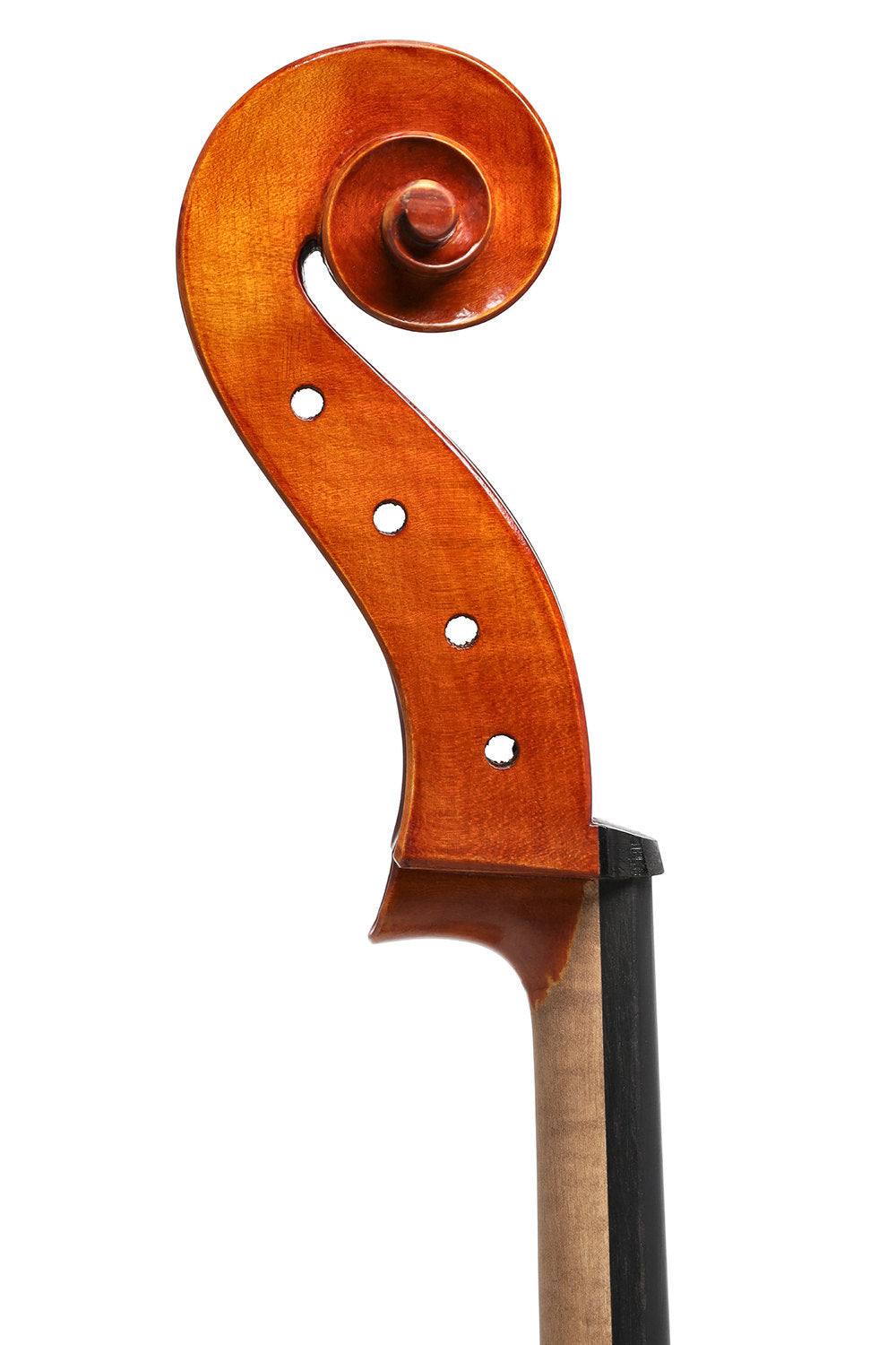 GEWA Europa Maestro cello 4/4, kastanjebrun spritlak