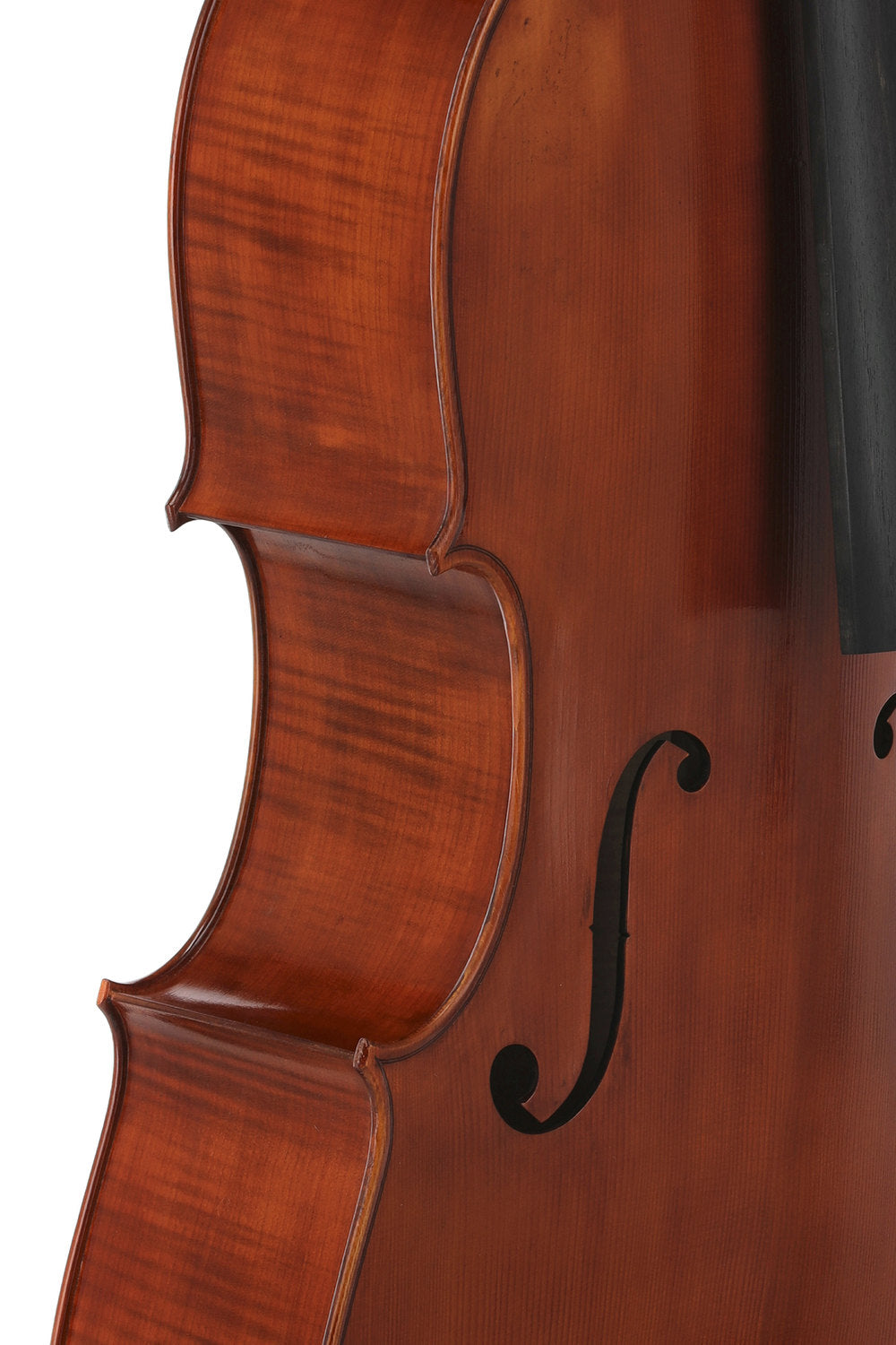 GEWA Europa Maestro cello 4/4, maroon spritlak