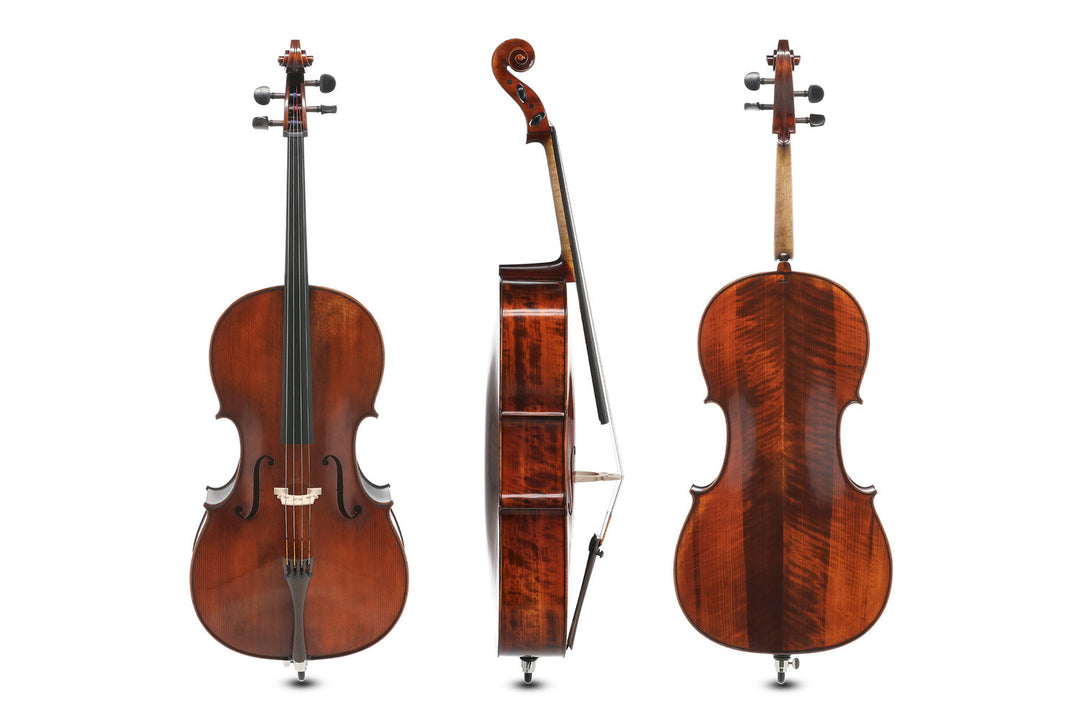 GEWA Georg Walther koncertcello 4/4, poppel, sat op