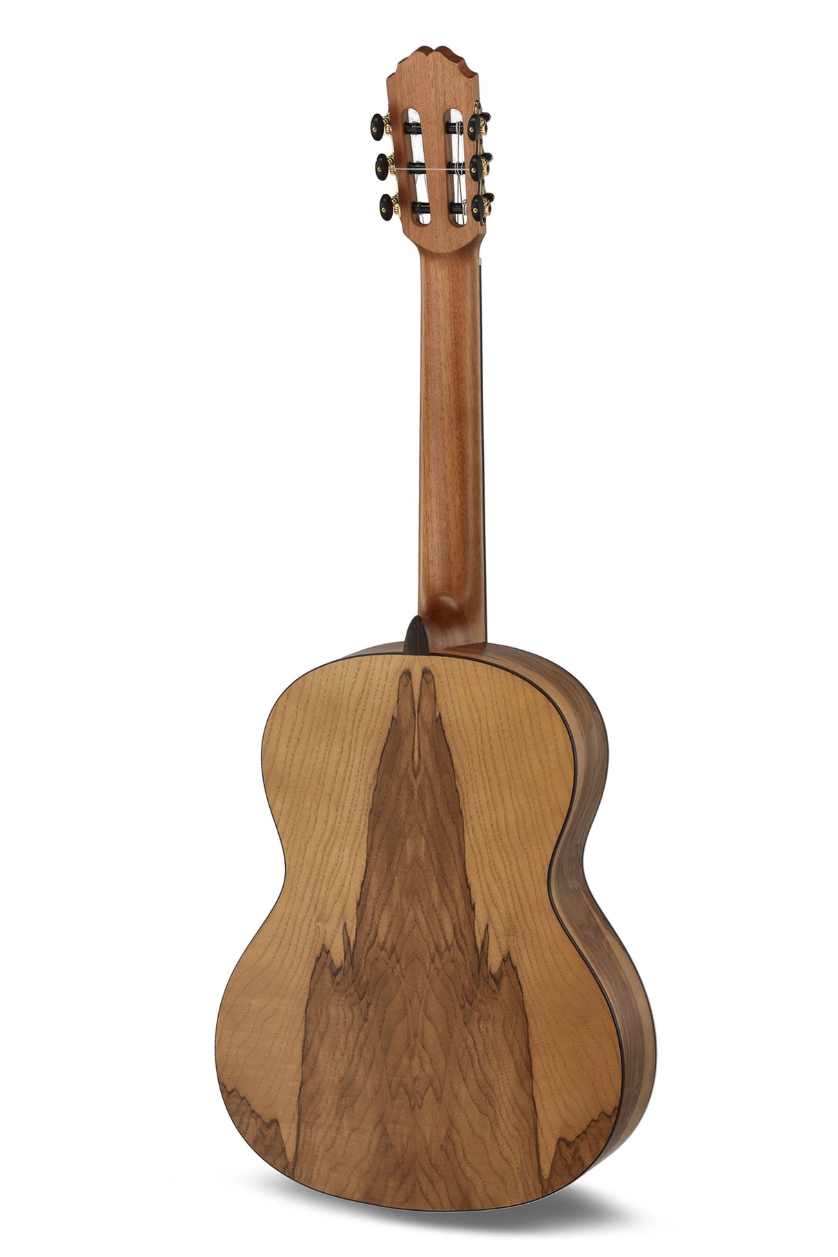 Caballero by MR Principio Series P Olive CA-PMO 120 - Olive (CA-PMO 120)