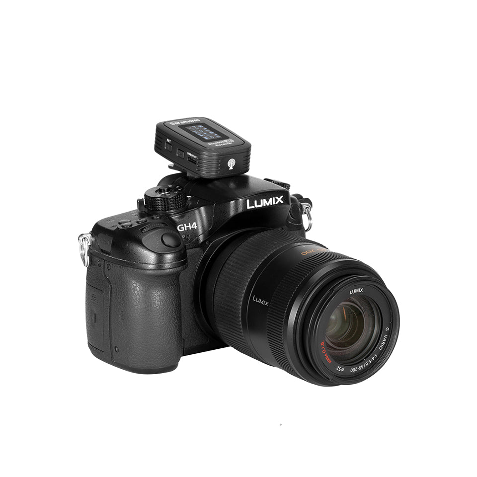 Blink 500 Pro RX Modtager (TRS)