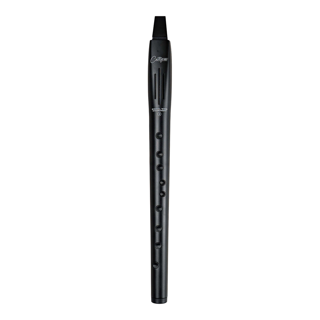Carry-on by Blackstar Digital Wind Instrument 2 Black