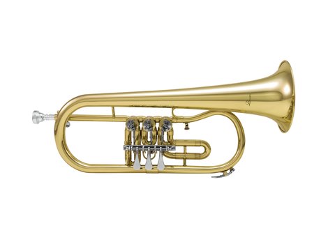 DiMavery FH-310D Bb Flugelhorn