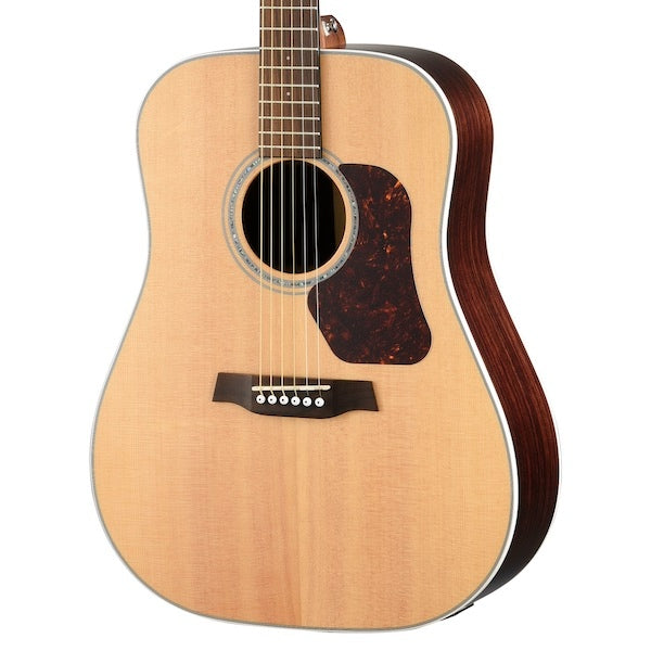Walden D800EW Western Guitar (Natur)