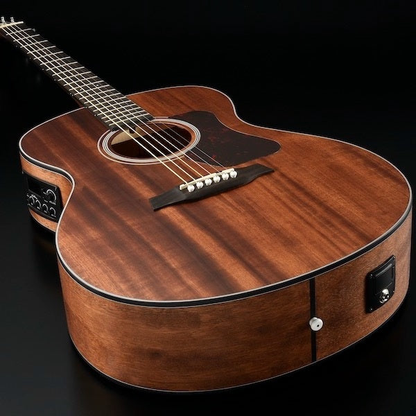 Walden G551EW Western Guitar (Natur)