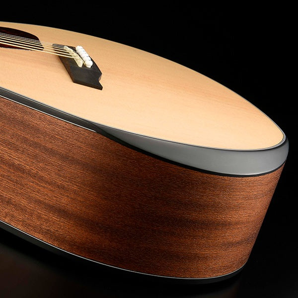 Walden G550REW Western Guitar (Natur)