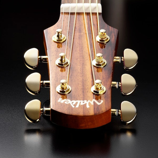 Walden G630CEW Western Guitar (Natur)