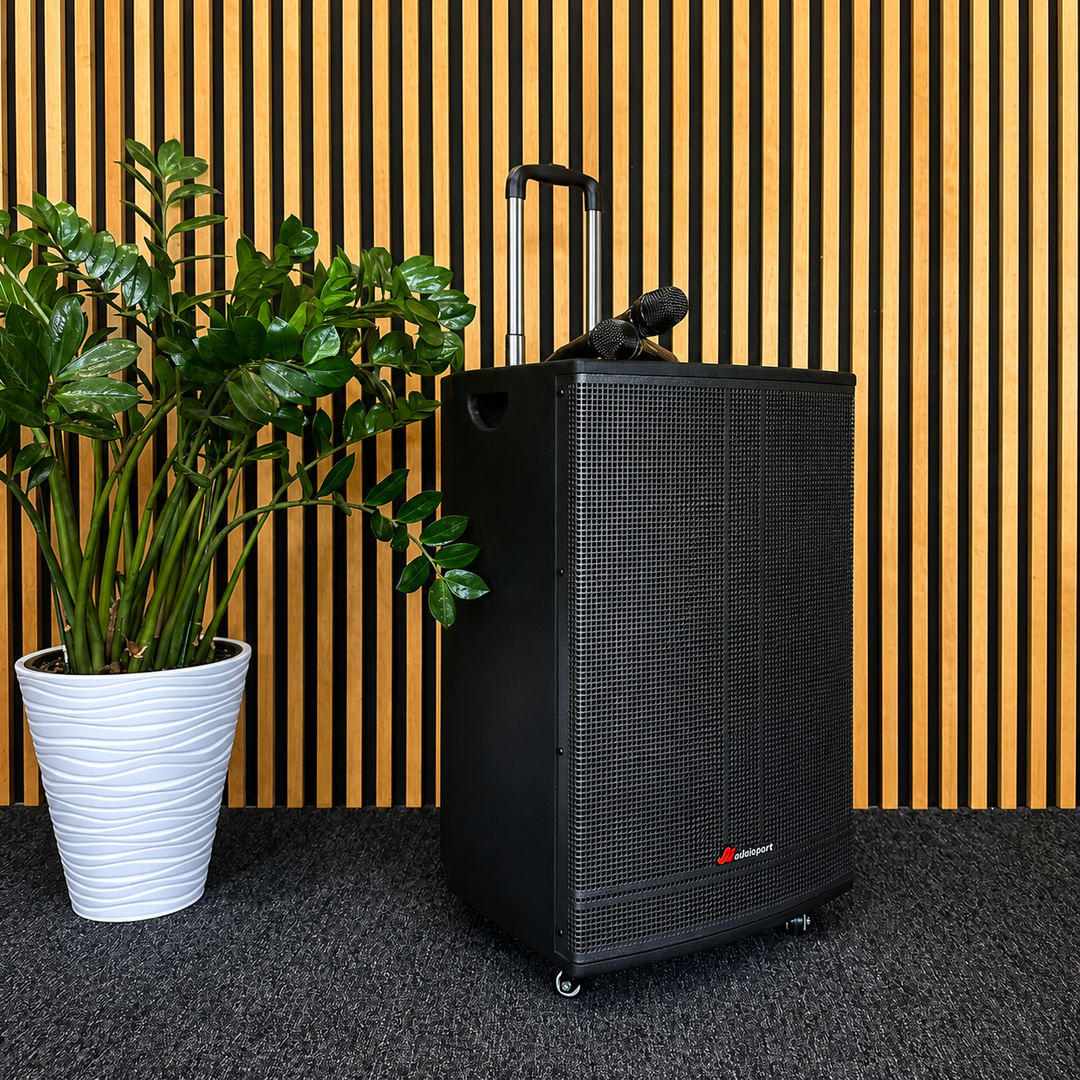 Audioport V15 transportabel aktiv højttaler 500 W med 2 mikrofoner