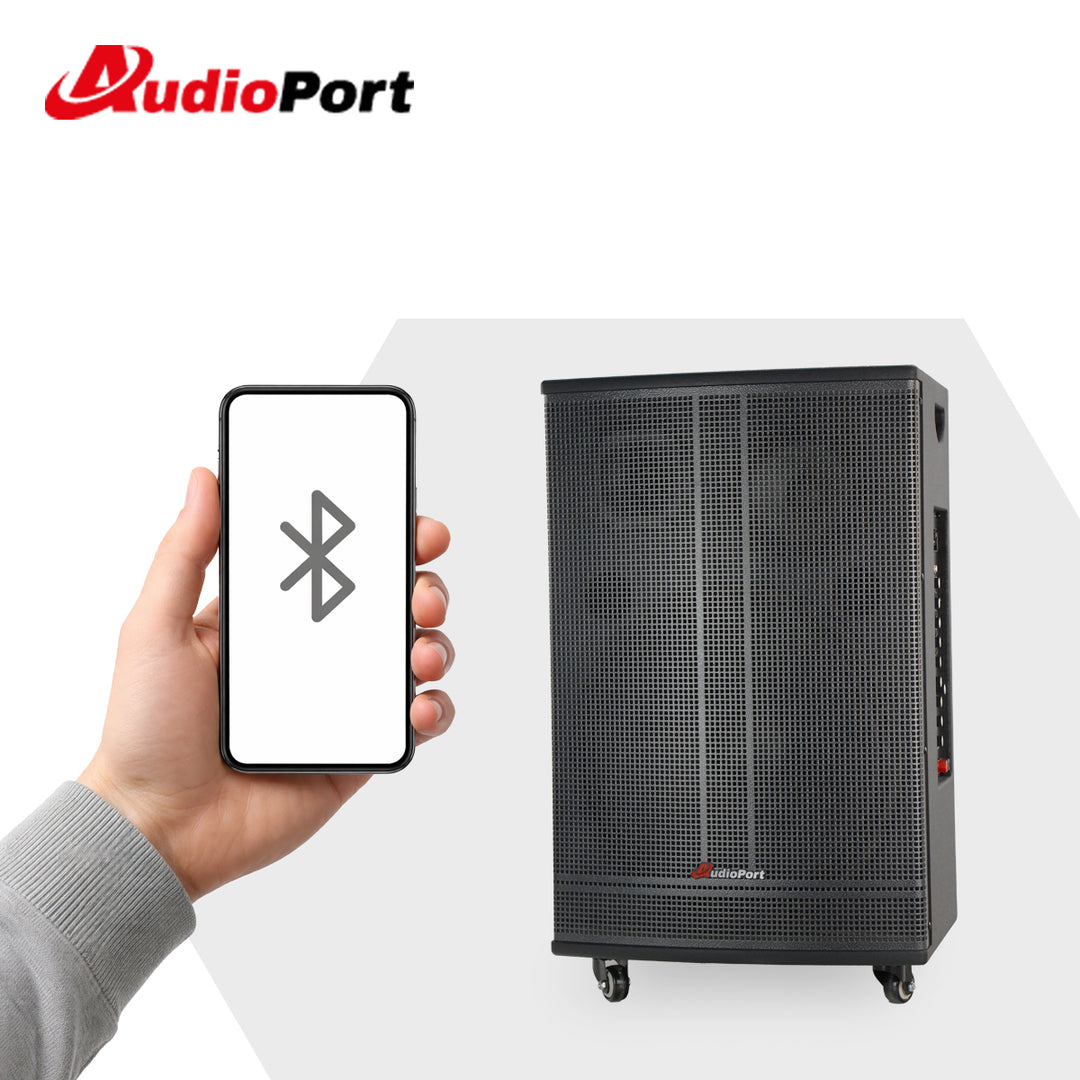 Audioport V15 transportabel aktiv højttaler 500 W med 2 mikrofoner