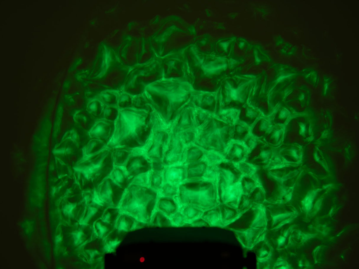 Eurolite WF-30 H2O Effekt (DMX)