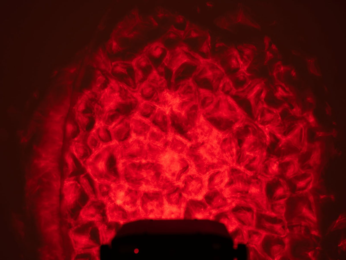 Eurolite WF-30 H2O Effekt (DMX)