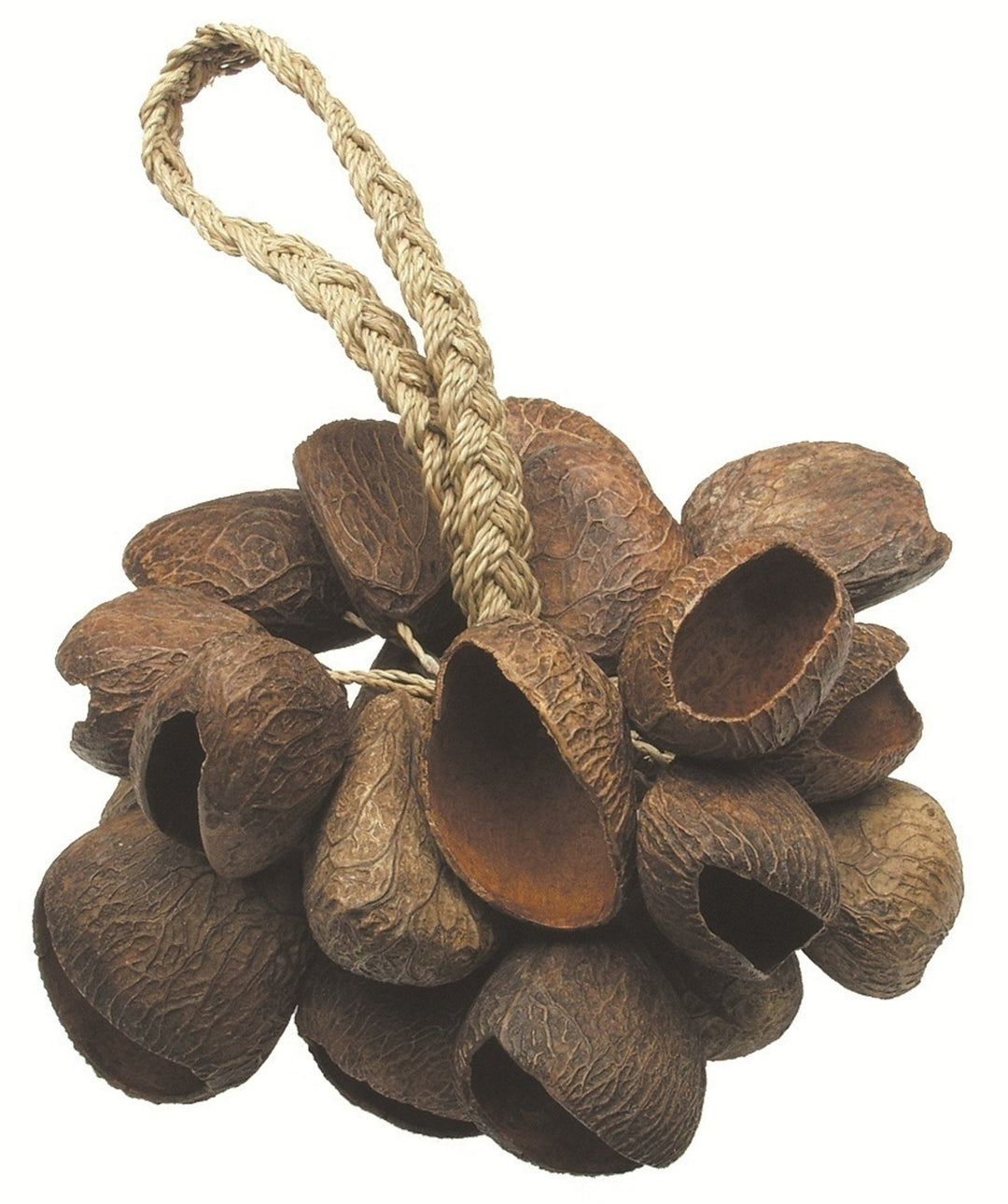 Toca Shaker Seed Shell (T-SS)