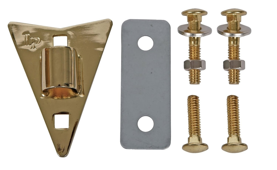 Latin Percussion Side plate Djembé LP702 LP702RG Richie Garcia - LP799X-AW LP797Z-AWG LP799X-AWC LP797Z-AWC Galaxy - LP-JRX Junior Congas - Gold (LP930B)