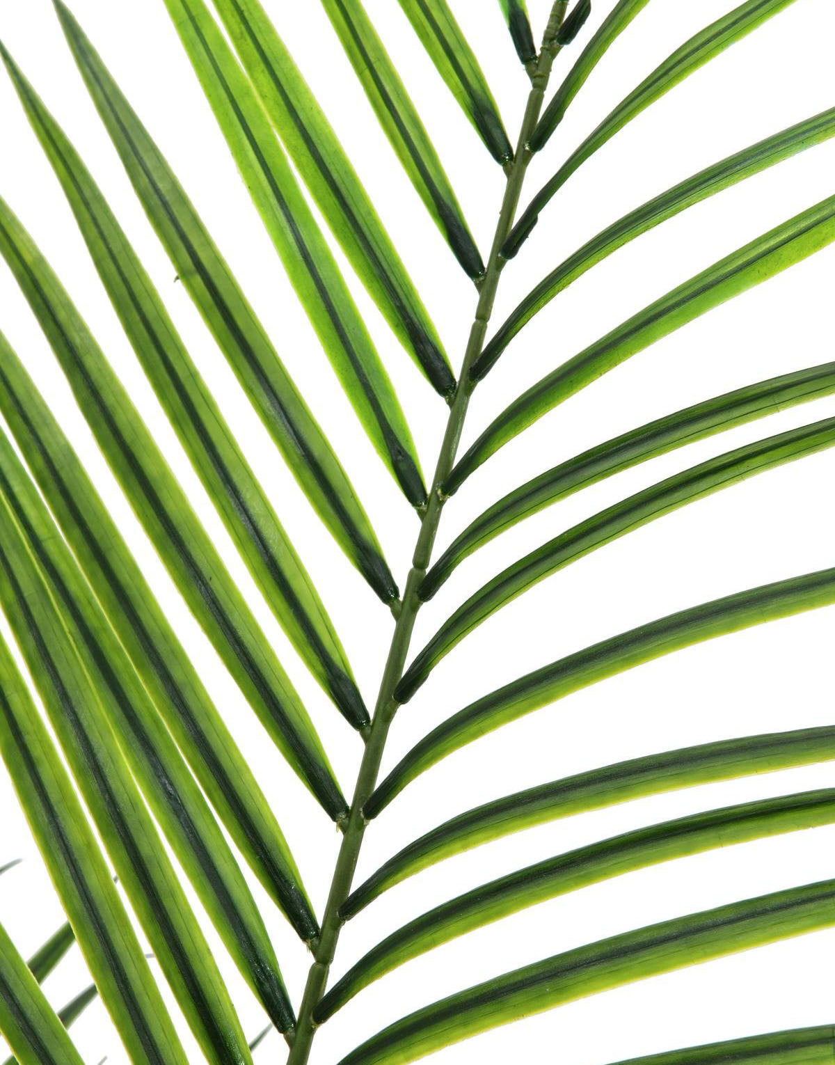 Kunstig Areca palme m. Store Blade (165cm)