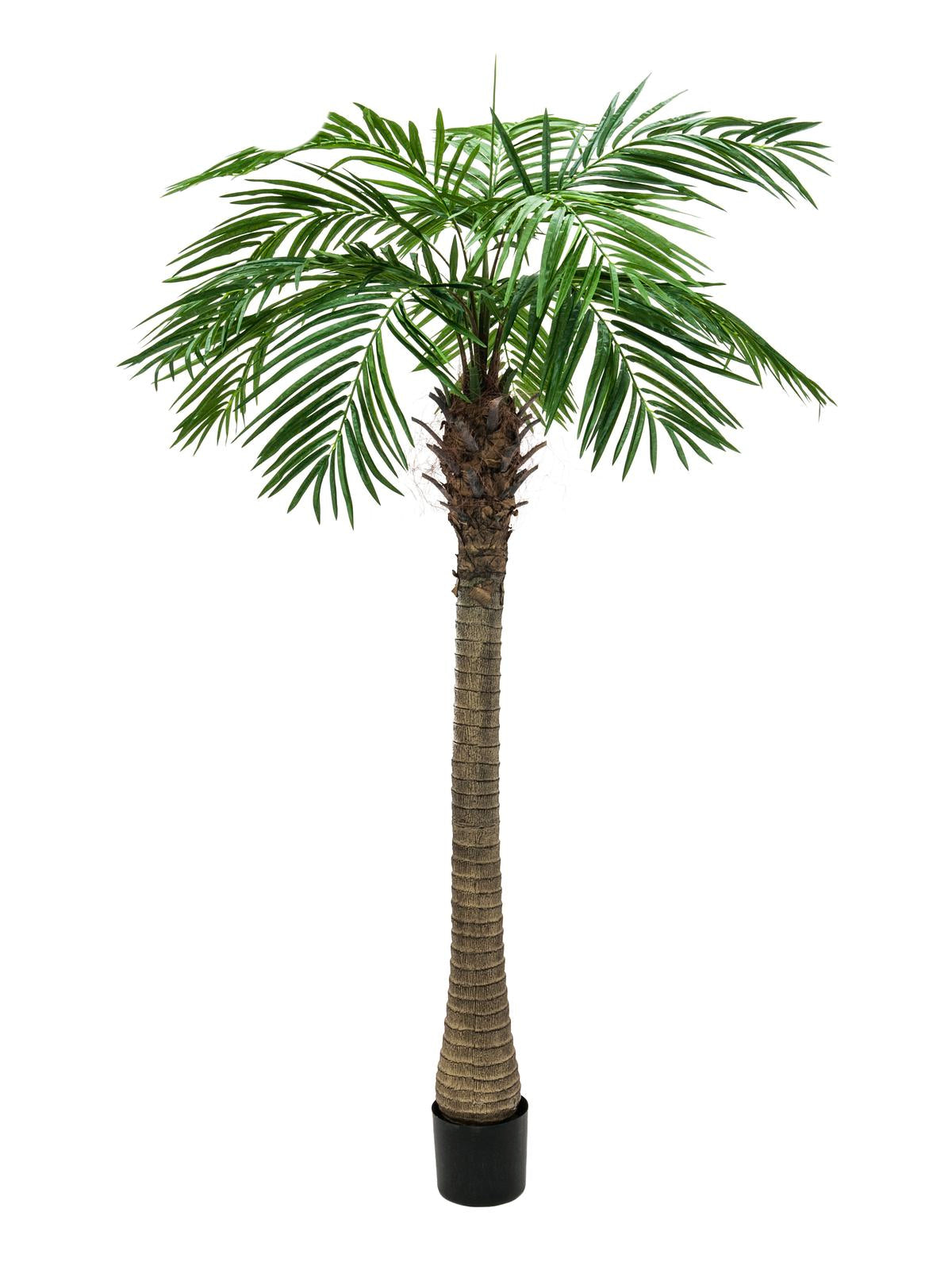 Kunstig Phoenix Palmetræ Luxor (240 cm)