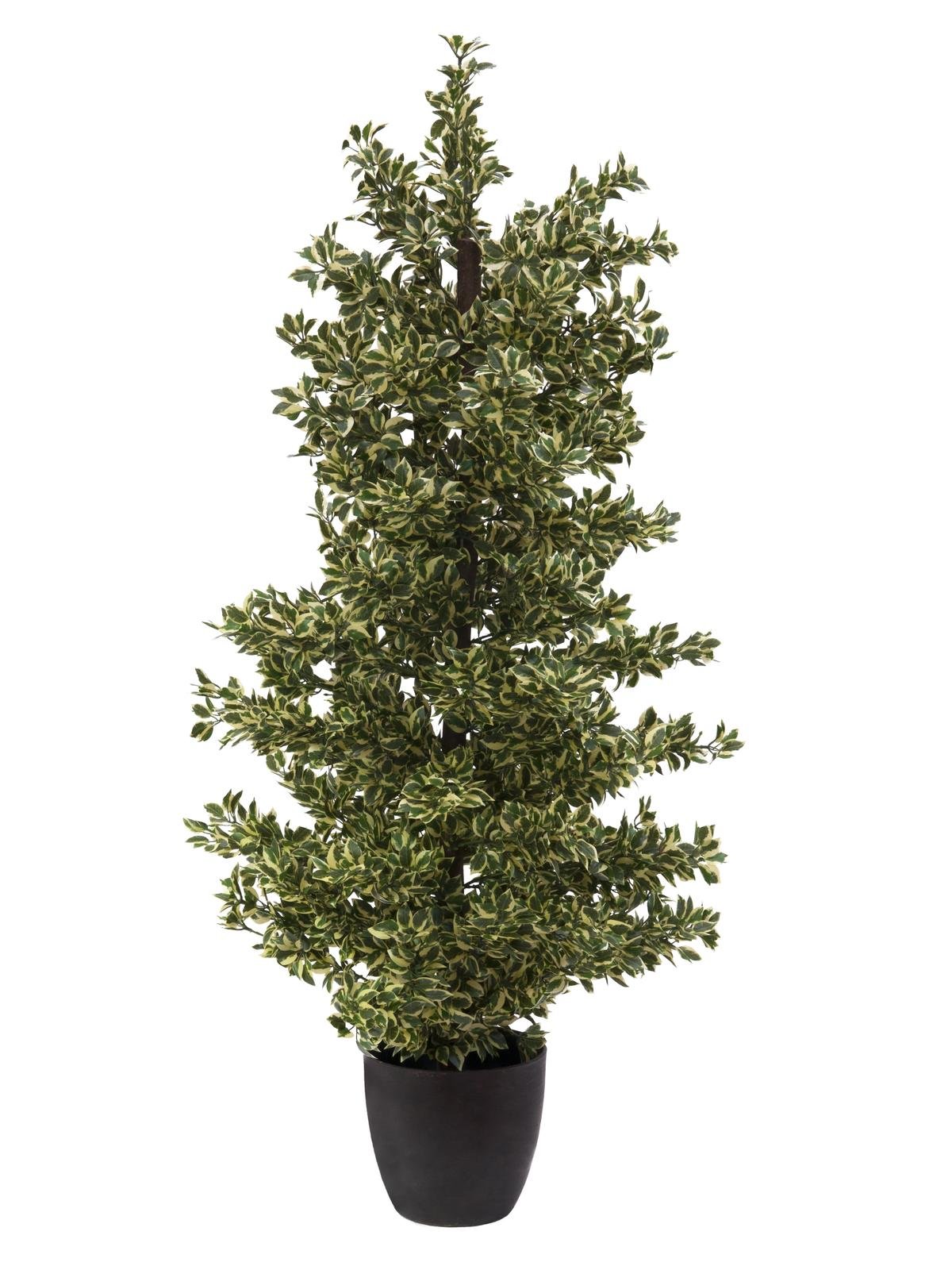 Kunstig  Woodficus Silverleaf, 120 cm.