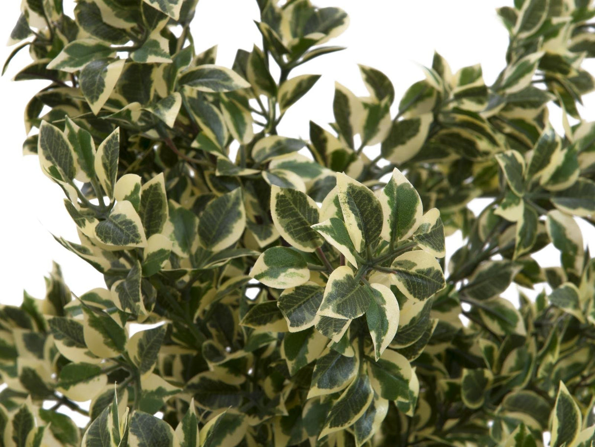 Kunstig  Woodficus Silverleaf, 120 cm.