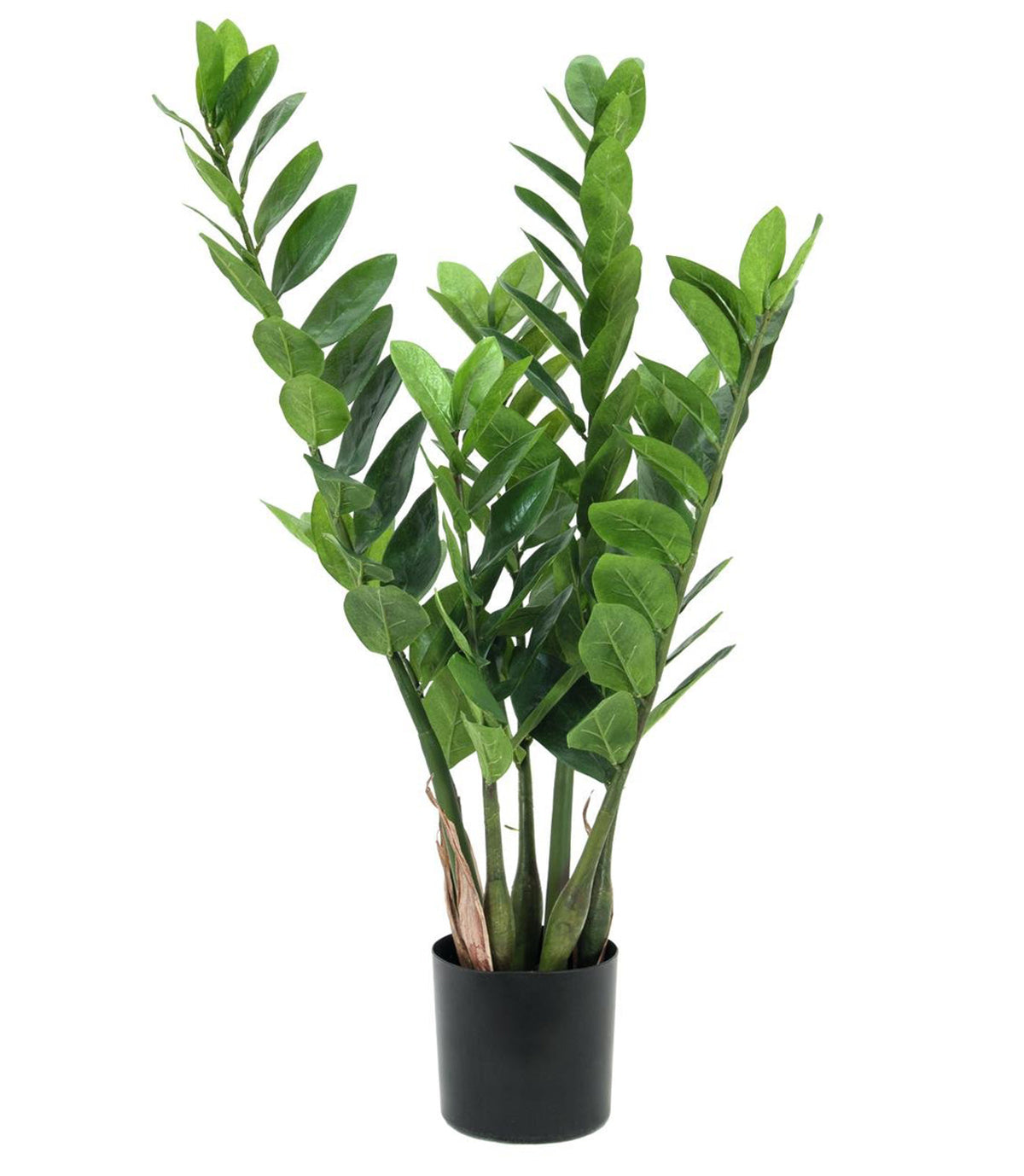 Kunstig Zamifolia (70cm)