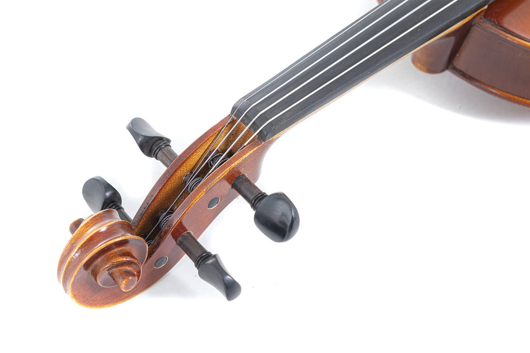 GEWA Violin Allegro - 1/2 (Ready to play incl. violin case, without bow, with Larsen Aurora strings, transport-secured)