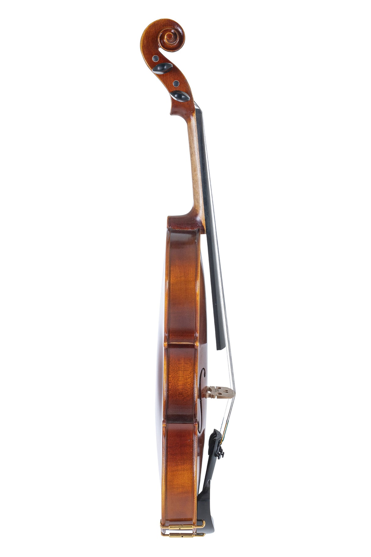 GEWA Violin Allegro - 3/4 (Set up with Wittner fine tuning tailpiece incl. violin case, carbon bow, Larsen Aurora strings)