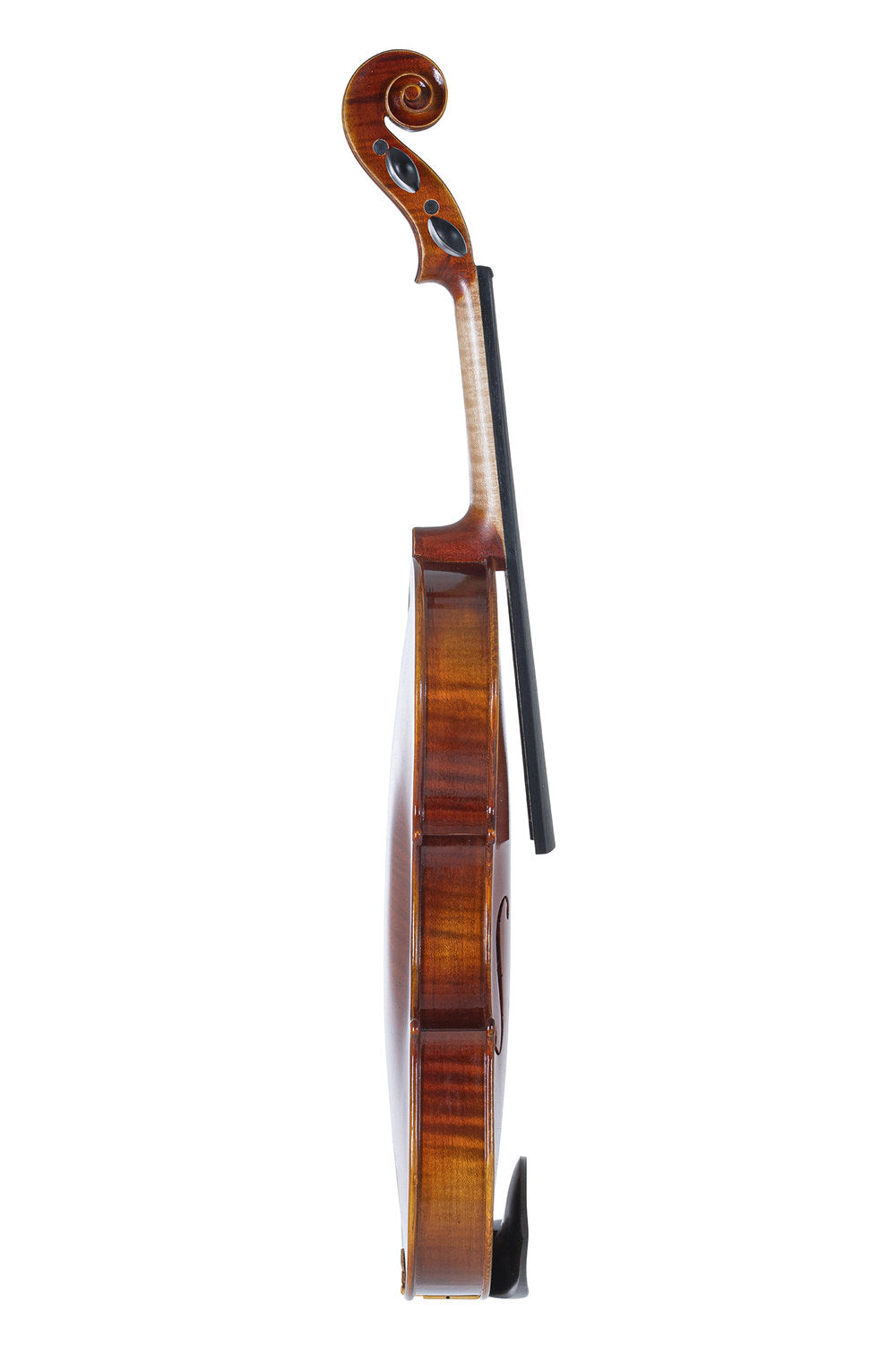 GEWA Maestro 1 violin 4/4, uden opsætning