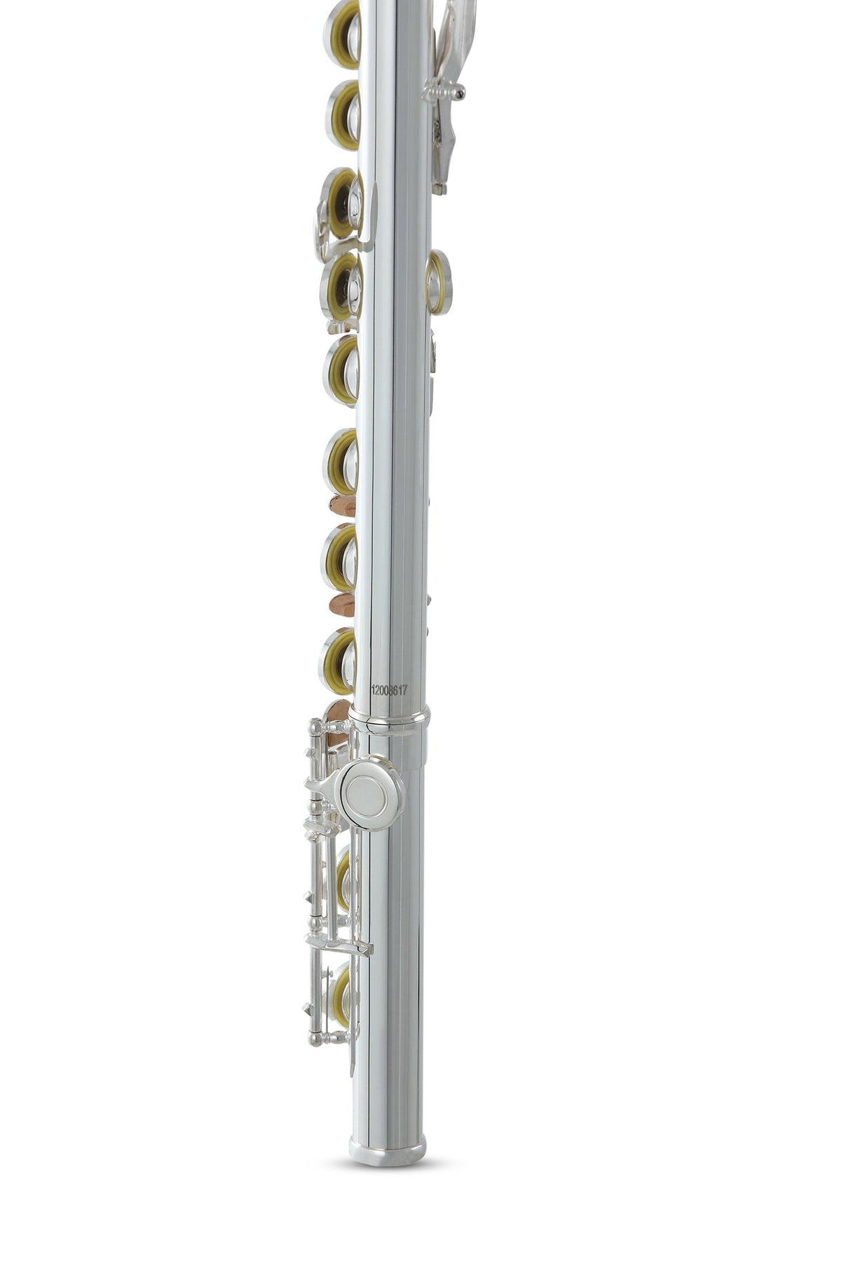 Roy Benson Flute Roy Benson FL-402E - FL-402E