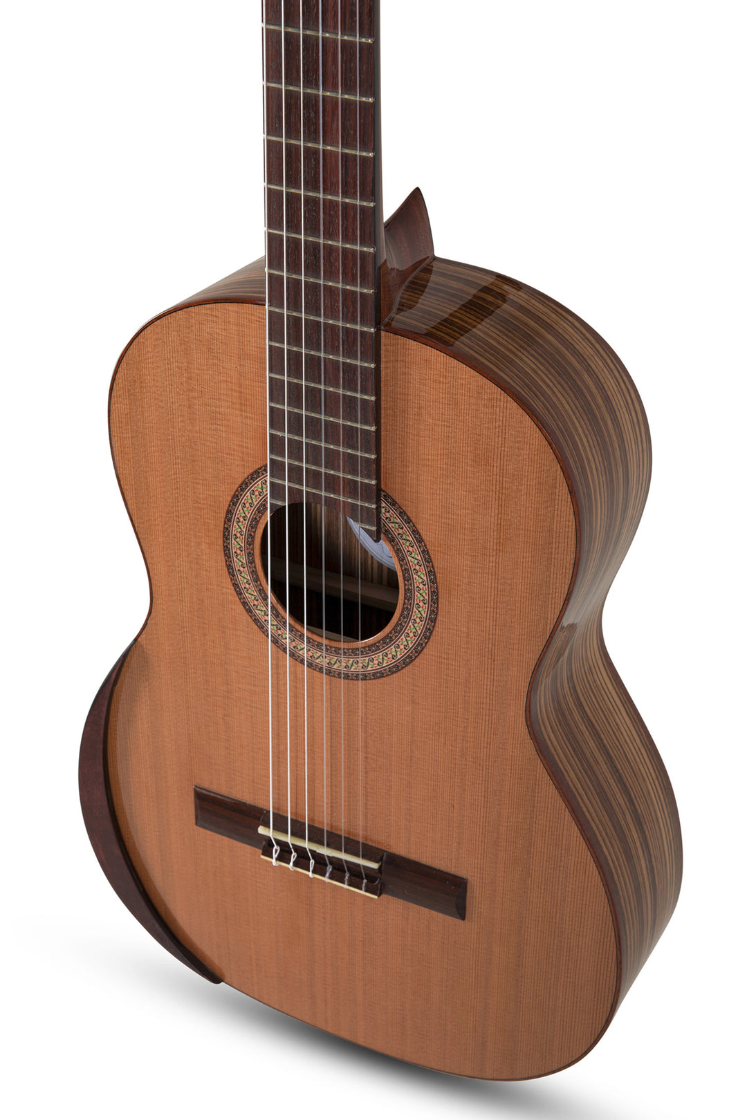 Manuel Rodriguez ACADEMIA Series AC40 4/4 size - 4/4 size (AC40-C)