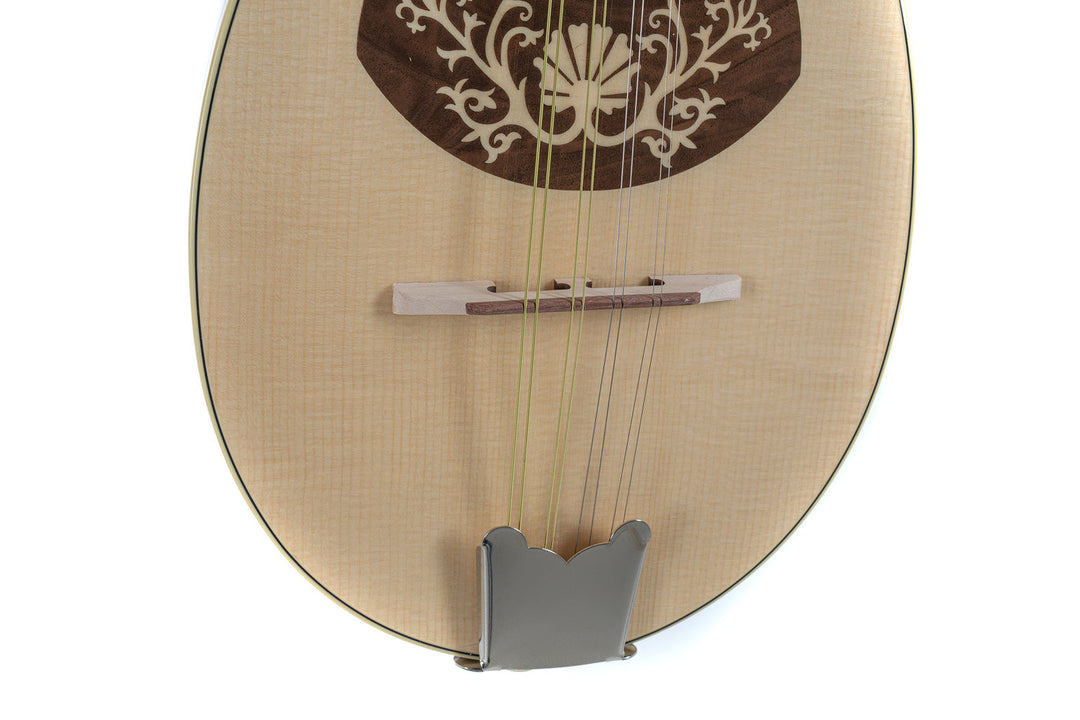 GEWA Flat mandolin Pro Arte Model 1 - High gloss