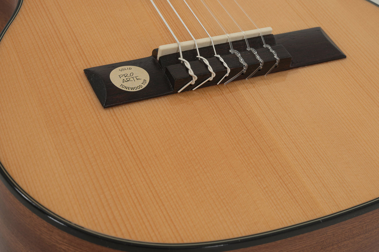 GEWA Classical guitar Pro Arte GC 25 A - 1/4 size