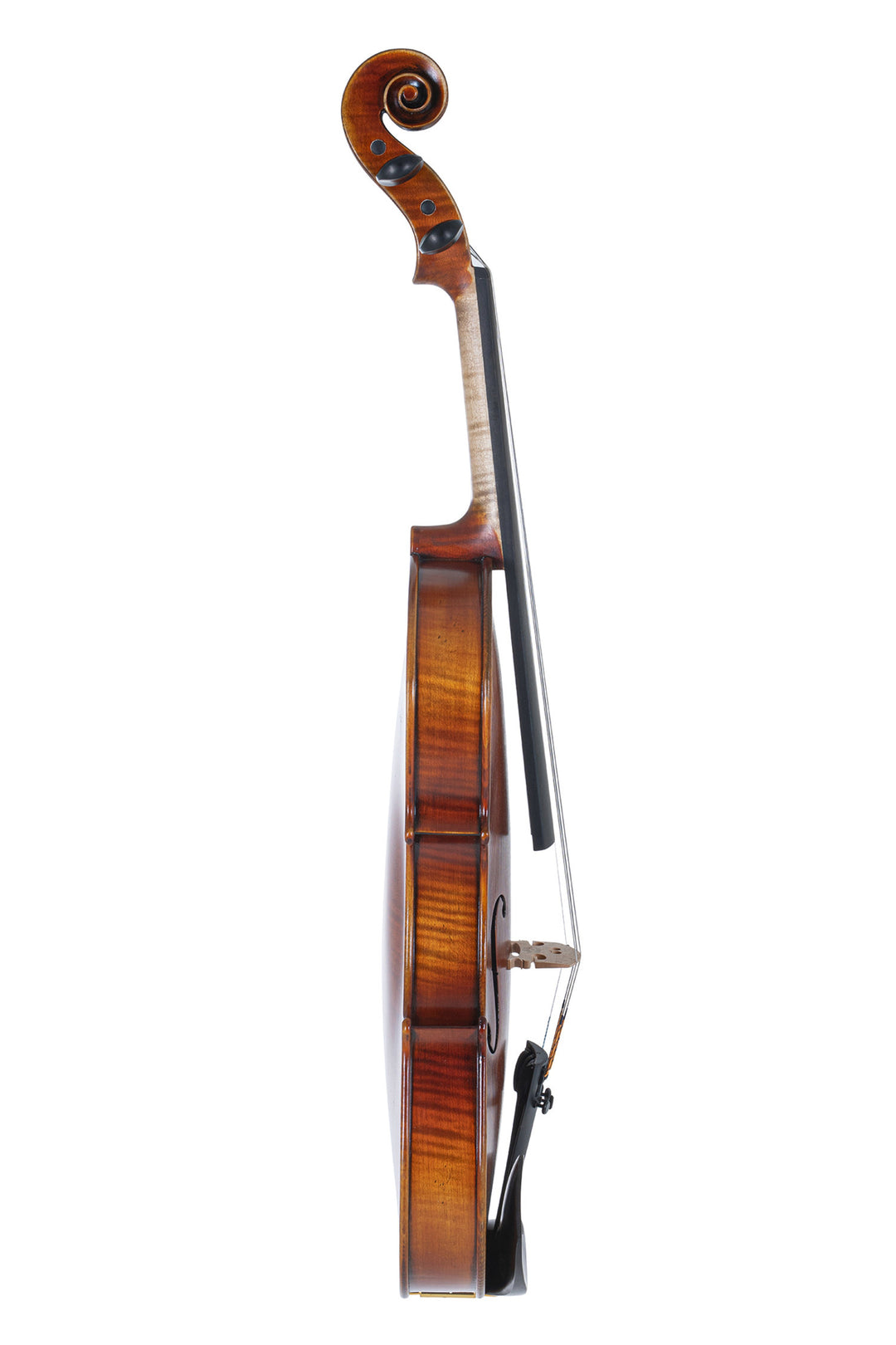 GEWA Violin Maestro 2 - 1/2 (Ready to play)