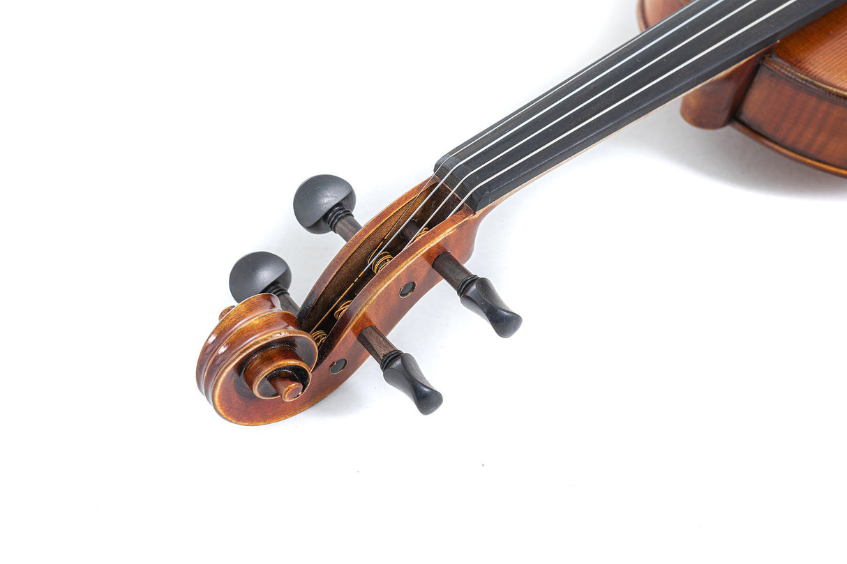 GEWA Violin Maestro 2 - 1/4 (Ready to play, transport-secured)