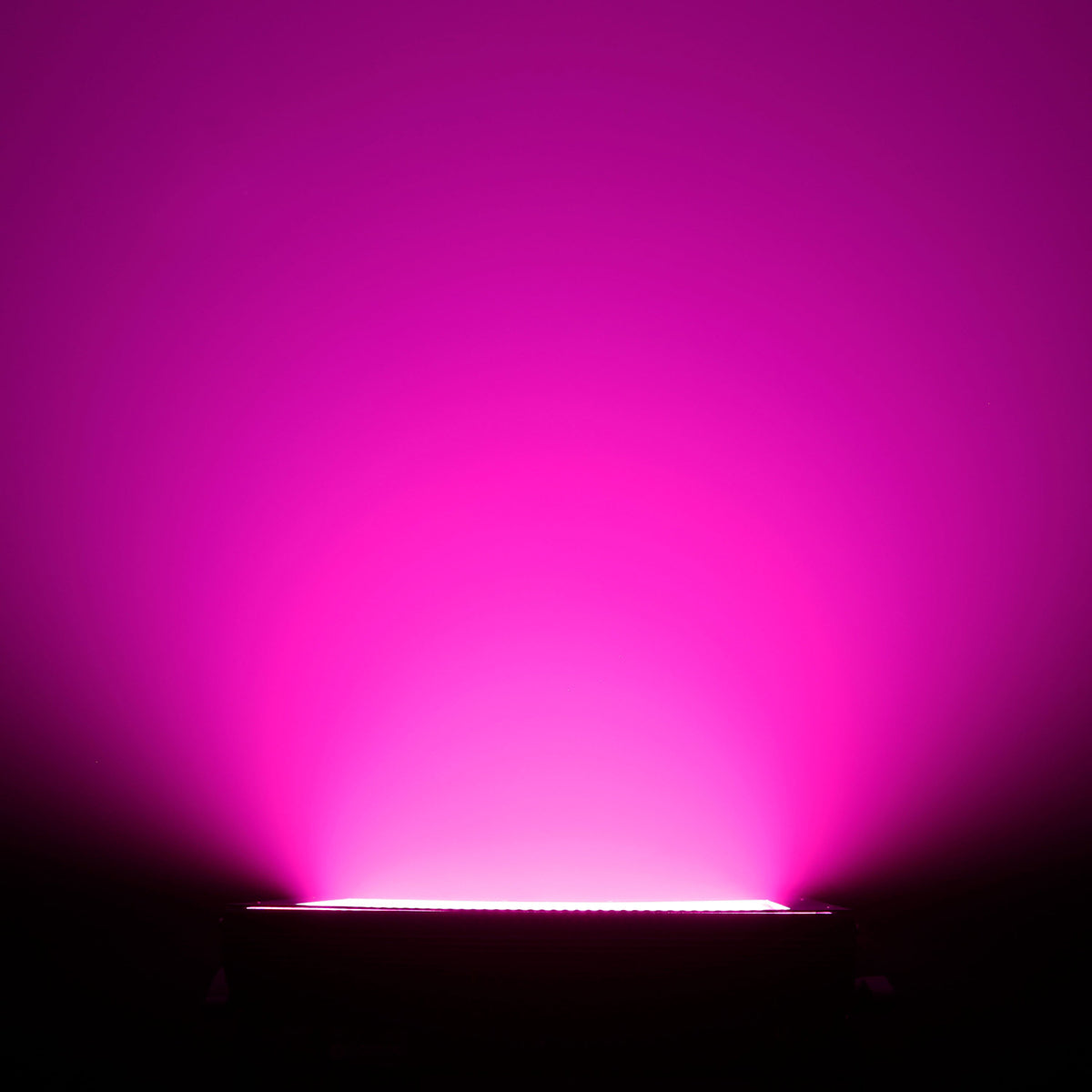 Cameo Thunder Wash 600 RGBW Strobelys