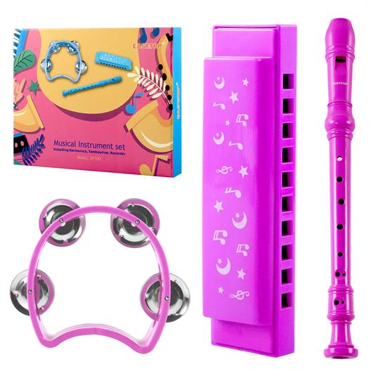 Mundharmonika, blokfløjte og tambourin sæt i pink.