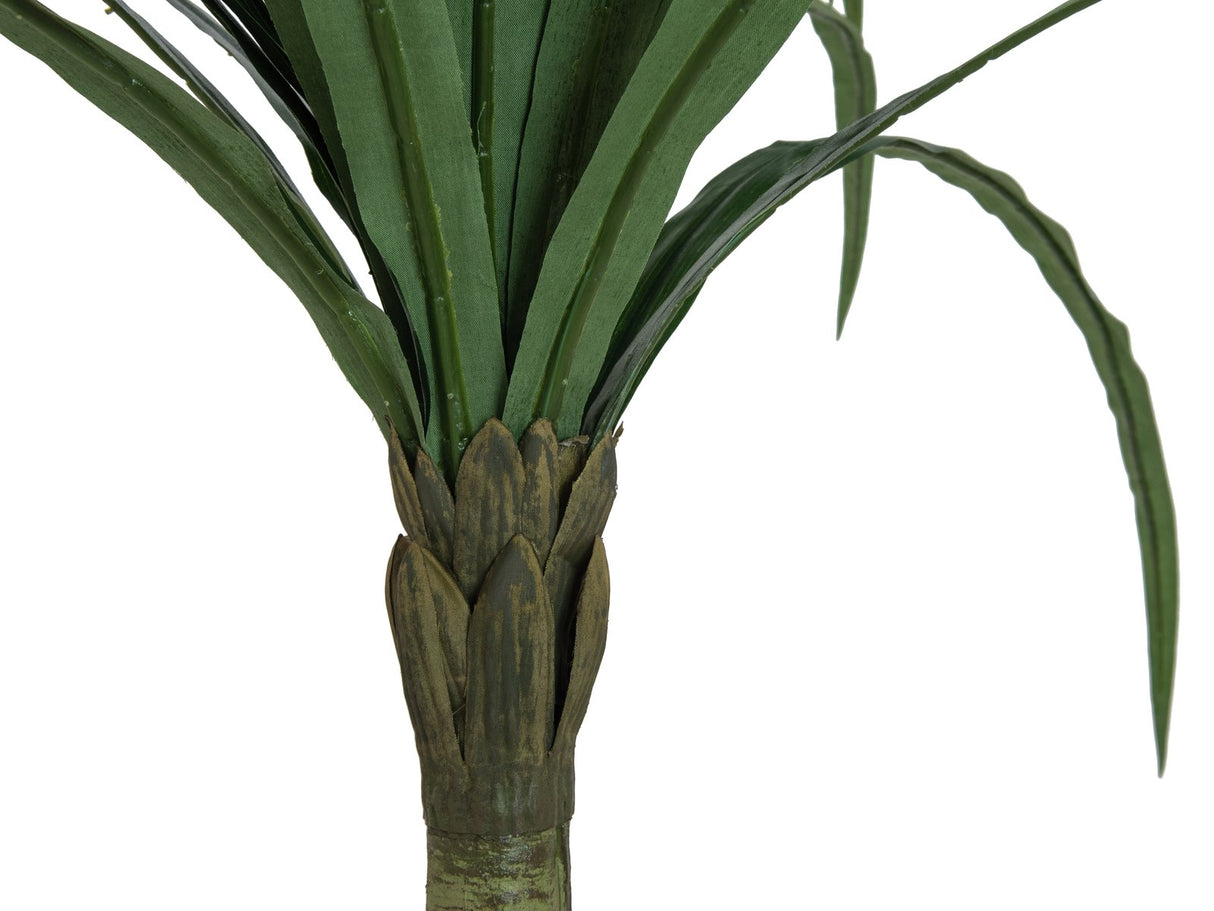 Europalms Dracena, green, 220cm