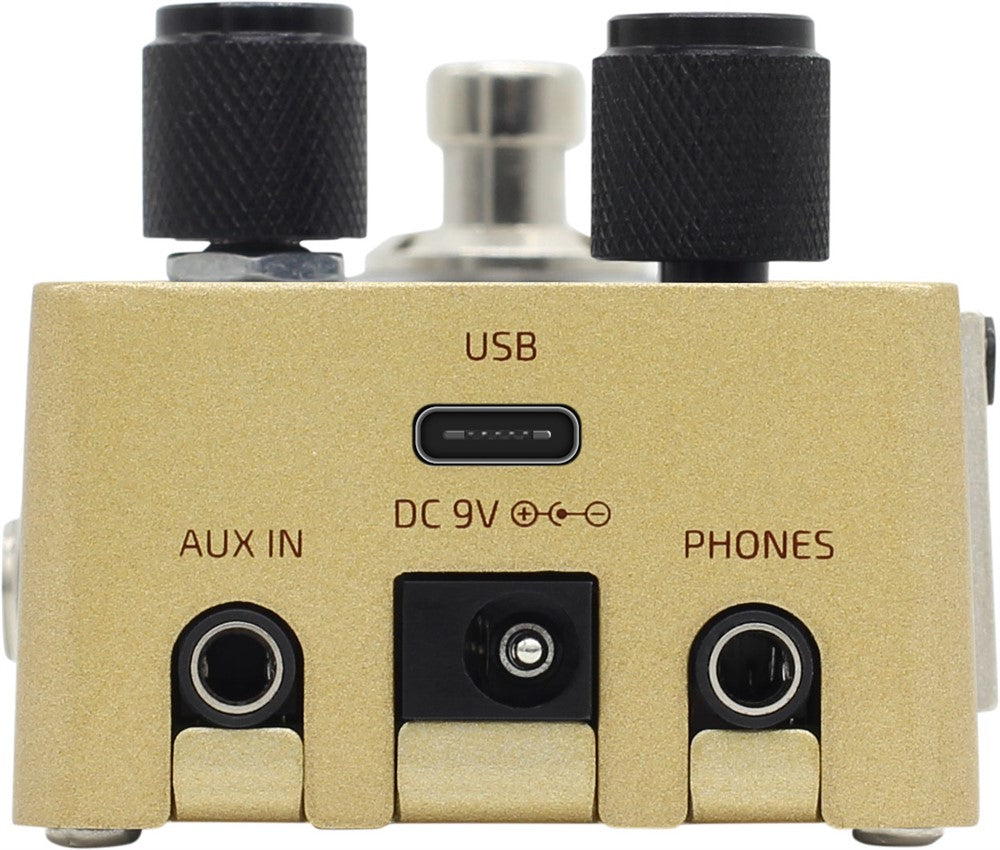 Hotone Omni AC