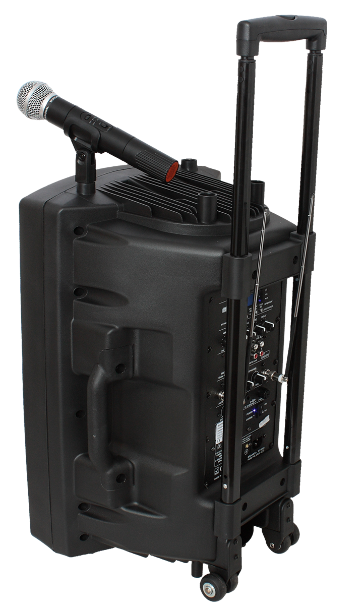Ibiza Transportabel Højttaler m. 15" Bas (Sort, 800W)