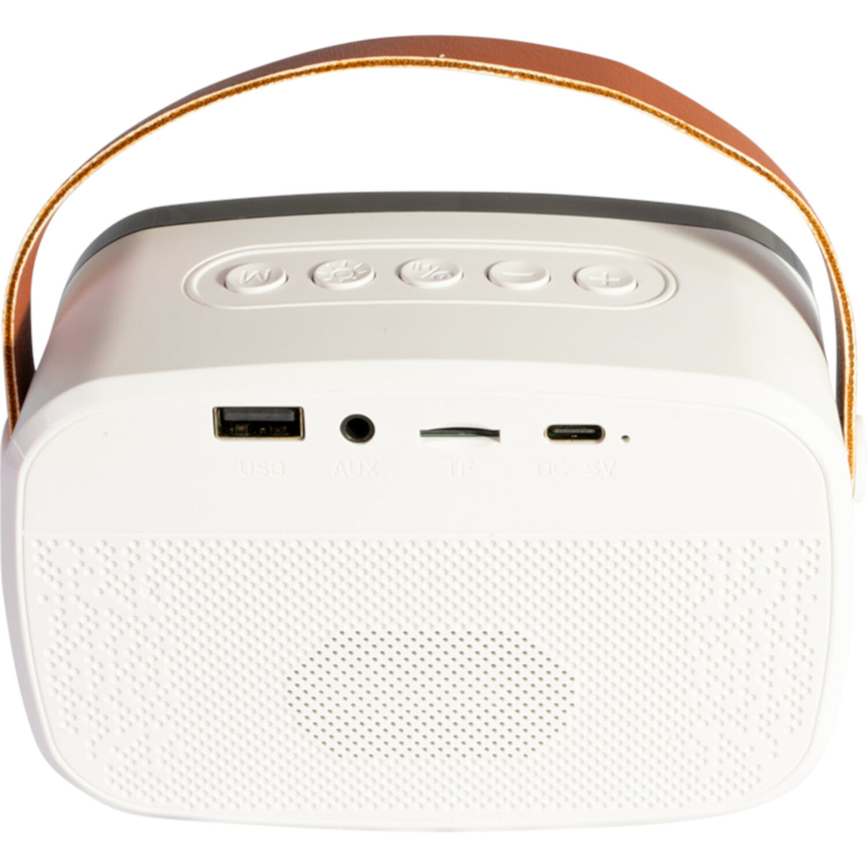 Ibiza Smart Karaoke Bluetooth Højtaler med 2 Trådløse Mikrofoner