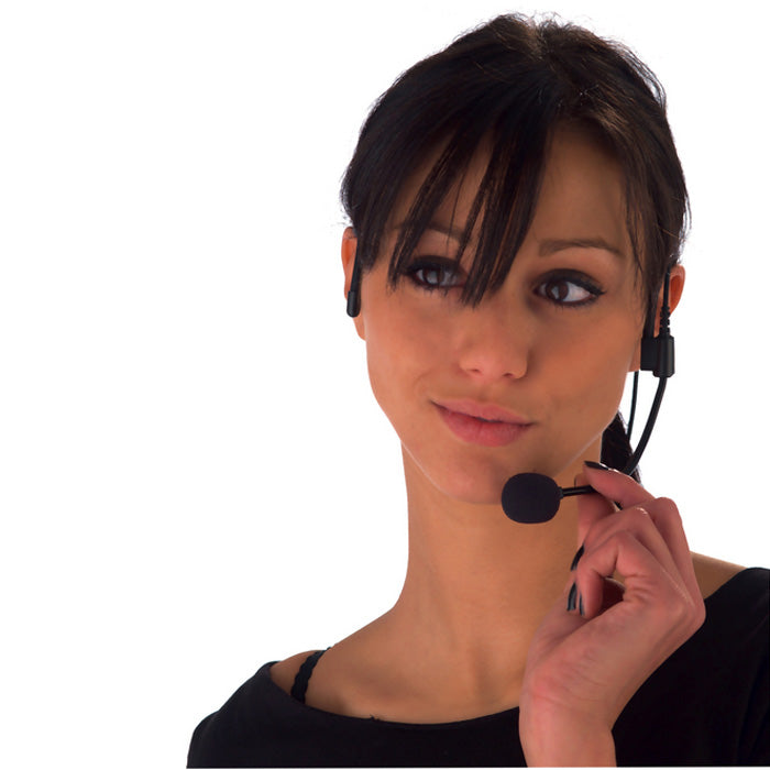 LD Systems WS 100 MH 1 Headset Mikrofon