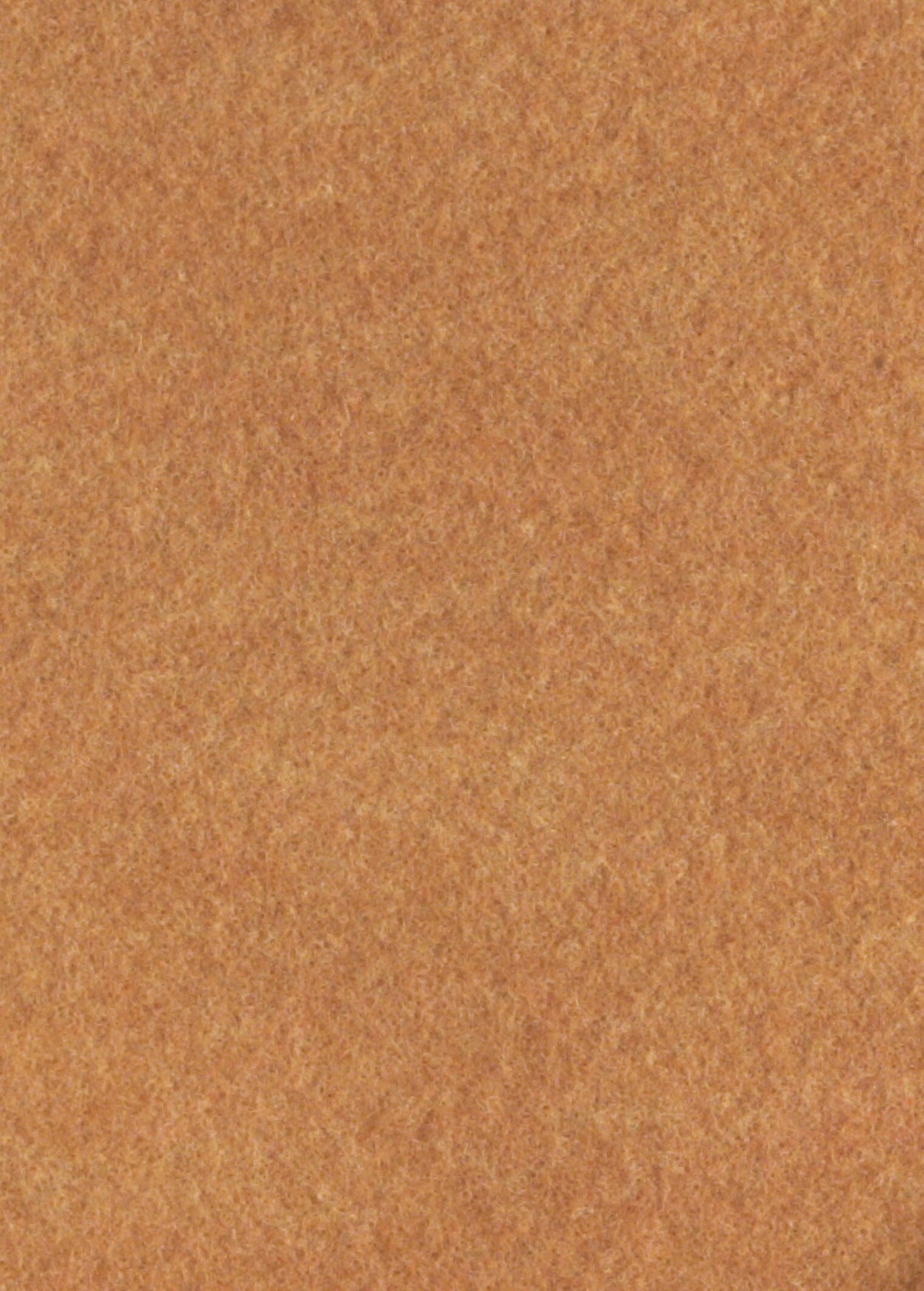 Lyse Brun Løber (2 x 50m)