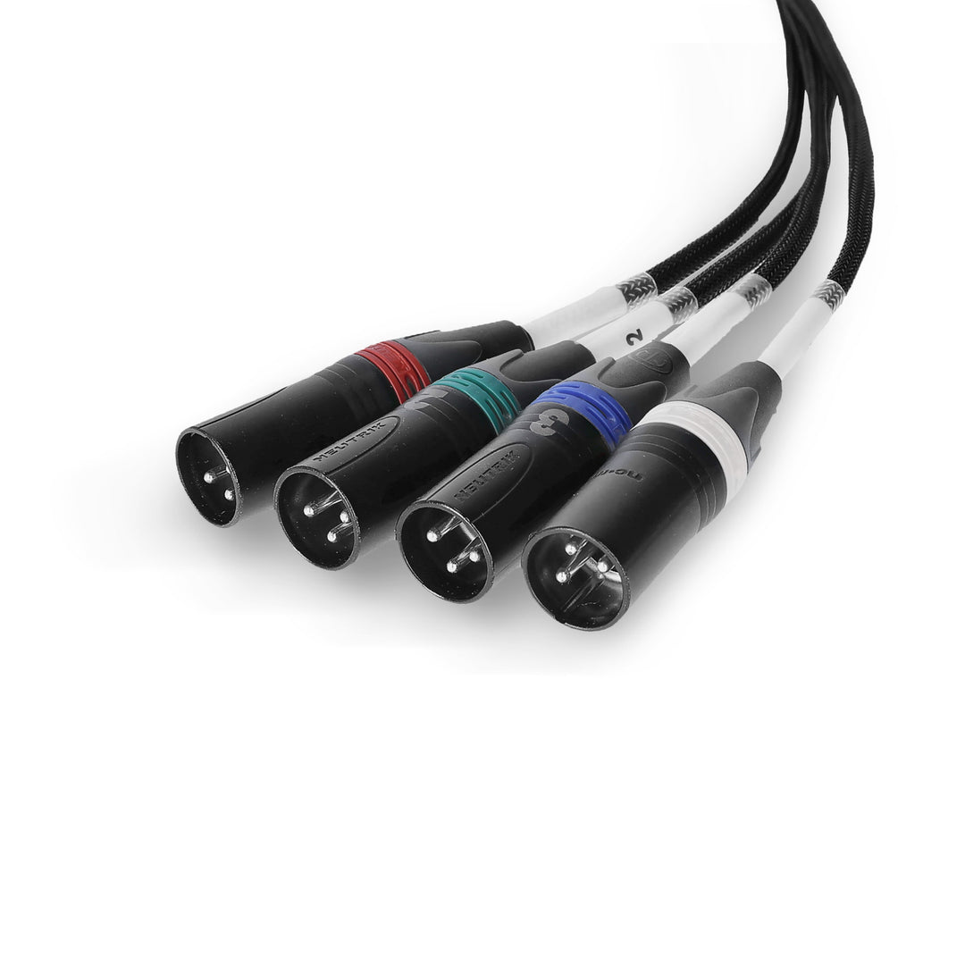 Palmer AoC Loom XLRm - Audio over Cat-kabel fra etherCON til 4 x XLR han