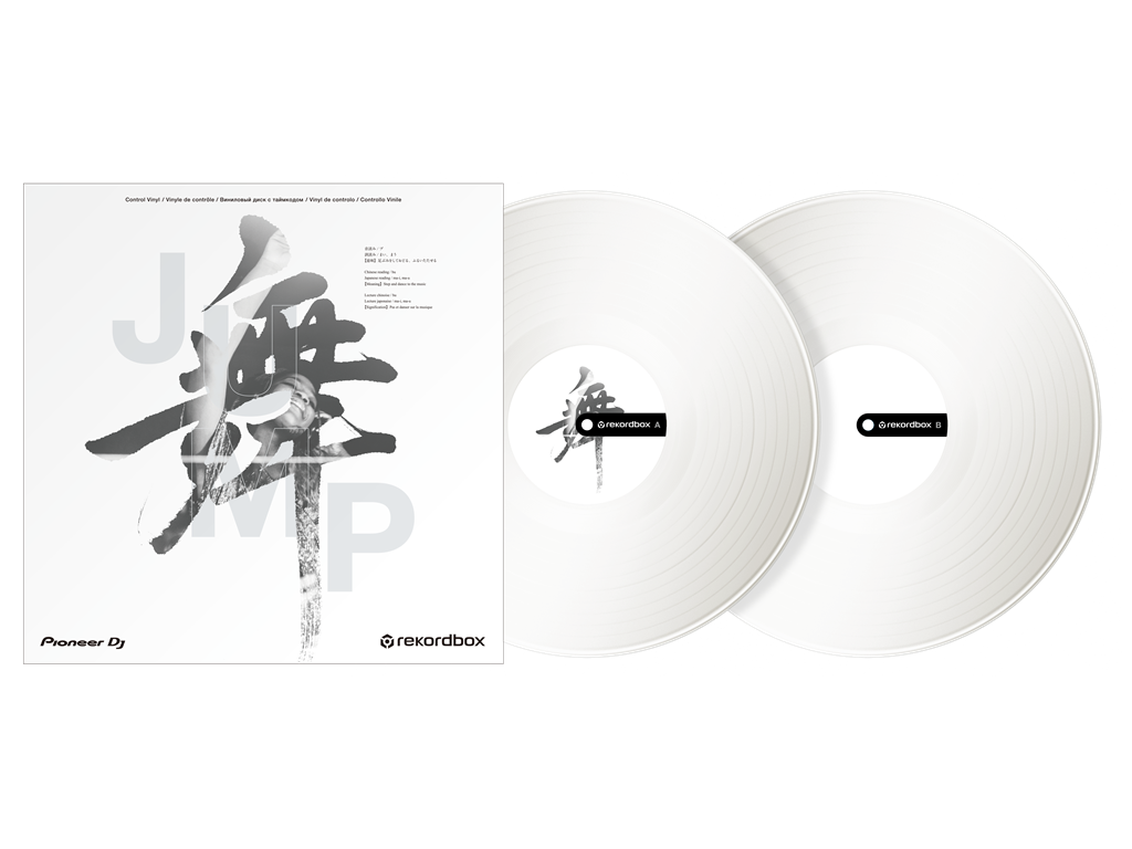 RB-VD2-W Rekordbox control vinyl (sæt af 2) (white)