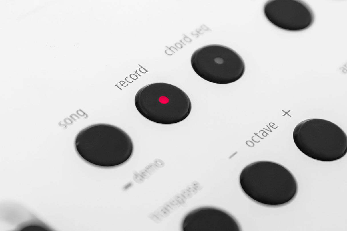 Roland GO:KEYS 5 Startpakke (Hvid)