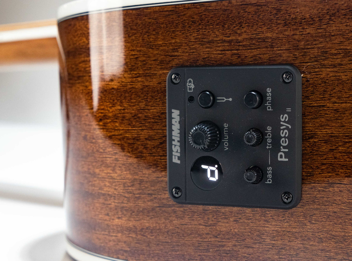 Hagstrom Siljan Dreadnought II CE Western Guitar (Natur)